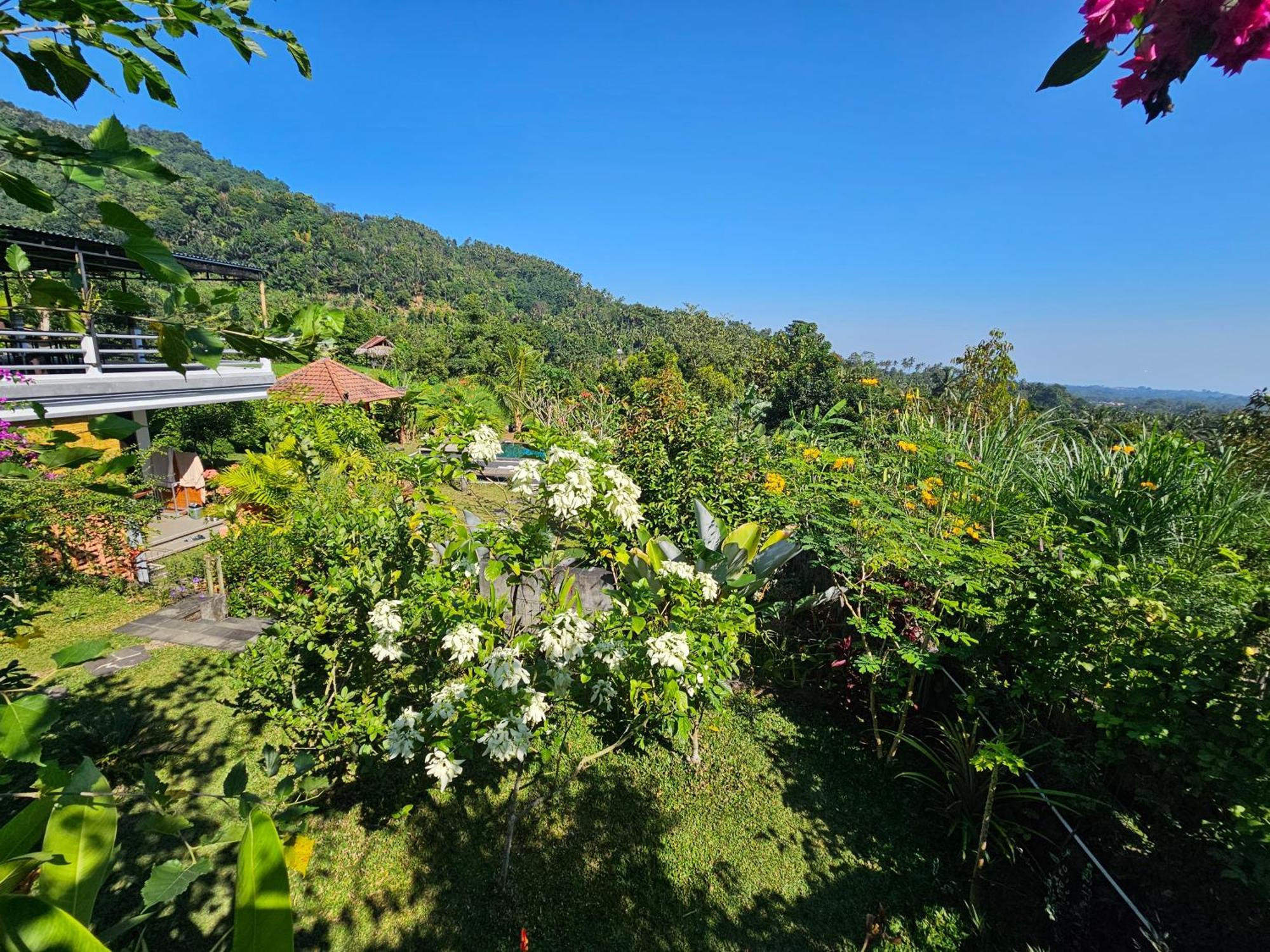 Villa Markisa Pakisan Sawan Exterior photo